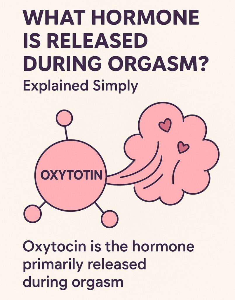 Infographic explaining that oxytocin is the primary hormone released during orgasm, shown with simple illustration and text.
